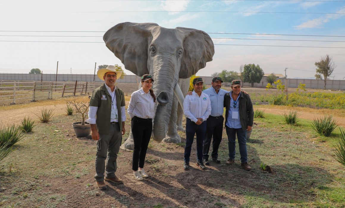 Lee más sobre el artículo Proyectan reapertura del zoológico Wamerú para el 21 de marzo