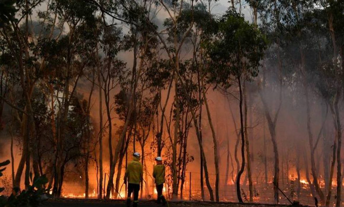 Lee más sobre el artículo Capacitan a municipios de Querétaro ante incendios forestales.