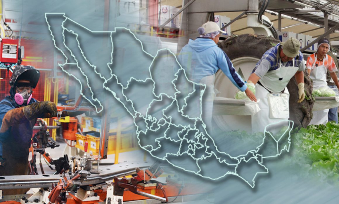 Lee más sobre el artículo Guerrero, Colima y BCS, con mayor actividad económica al cierre de 2024