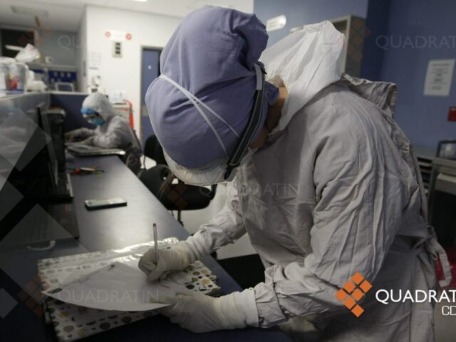 De una niña, el primer caso humano de influenza aviar A en México