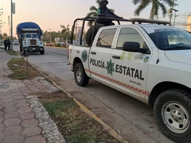 Aseguran en Acapulco ocho mil palmas reales transportadas de forma ilegal.