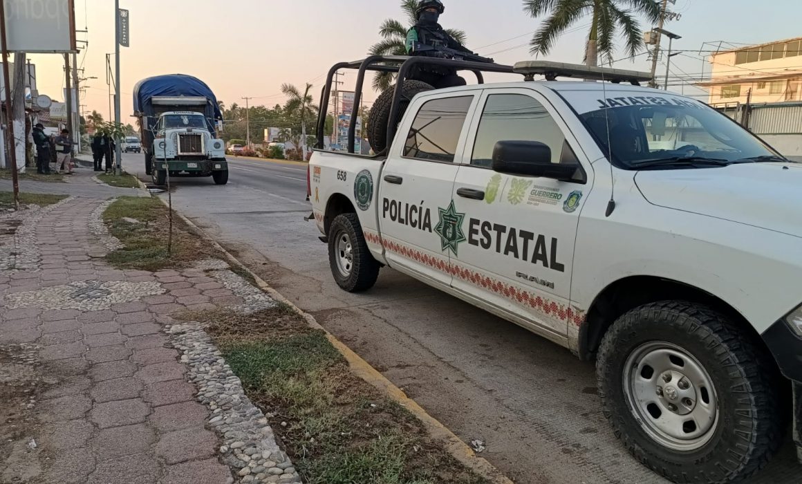 Lee más sobre el artículo Aseguran en Acapulco ocho mil palmas reales transportadas de forma ilegal.
