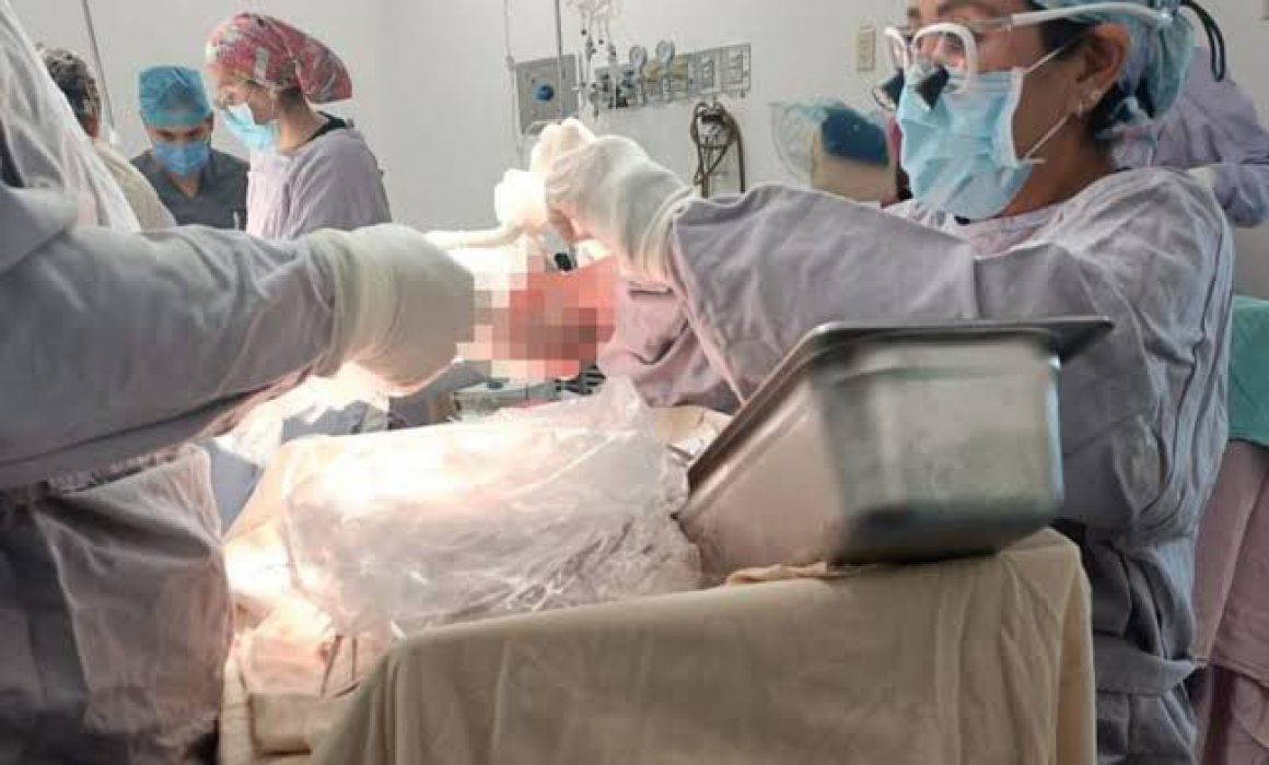 Lee más sobre el artículo Más de 19 mil personas esperan un trasplante en México