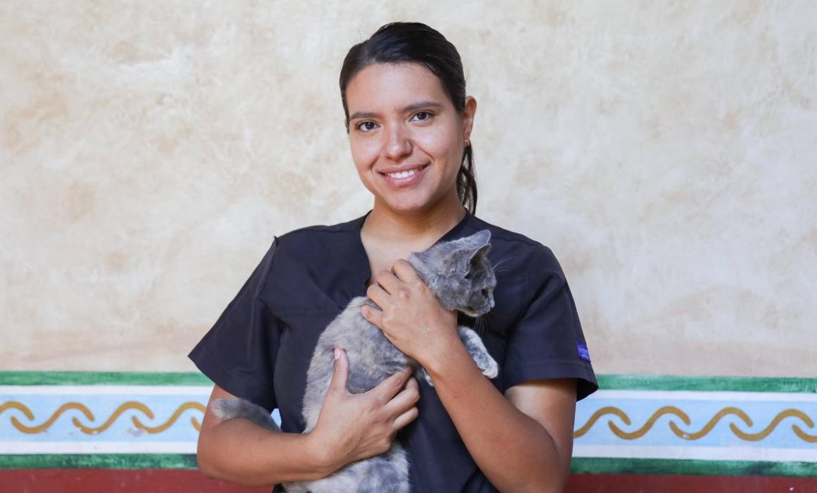 Lee más sobre el artículo Corregidora refuerza campaña de esterilización de mascotas con unidad móvil