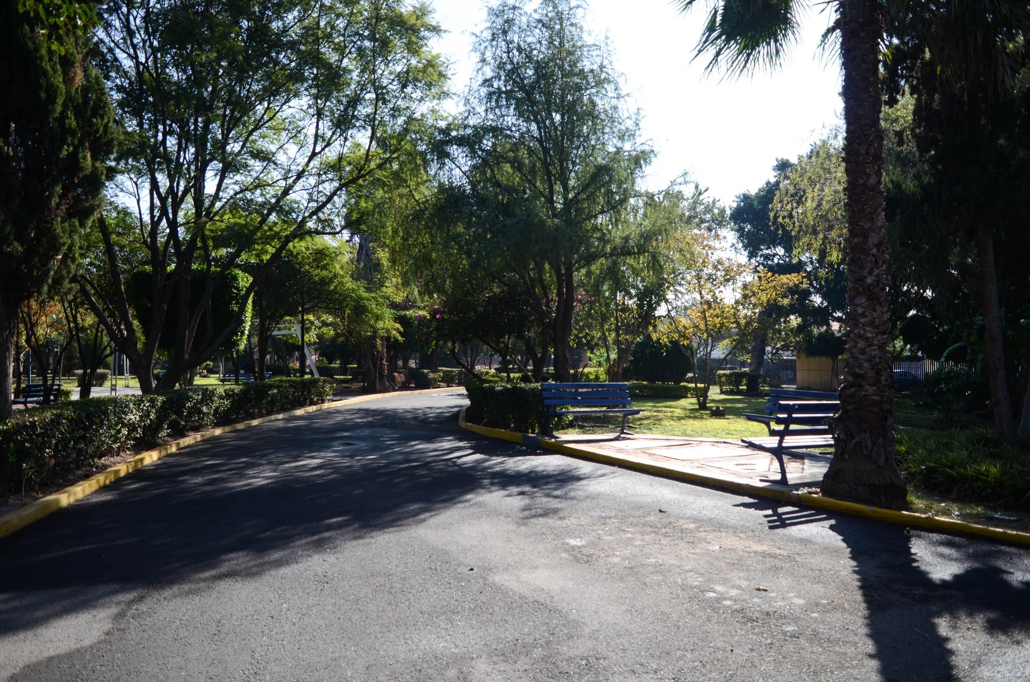 En un par de meses, decreto de protección al Parque Alcanfores