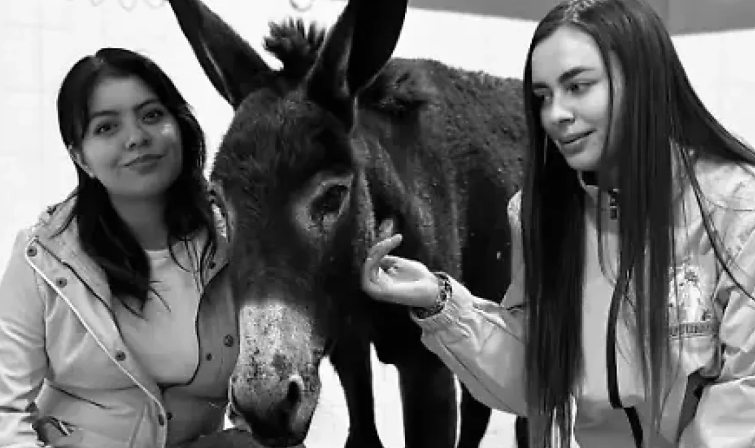 Exhorta Kuri a Legislatura aprobar Ley Oli