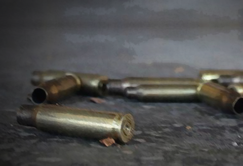 Lee más sobre el artículo Guanajuato actuará con firmeza, tras masacre de 11 en Salamanca: Libia