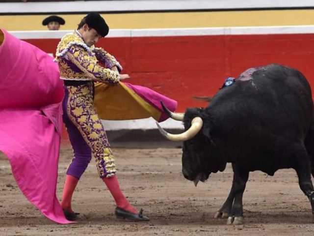 Juez ratifica la suspensión de la corrida de toros en Juriquilla