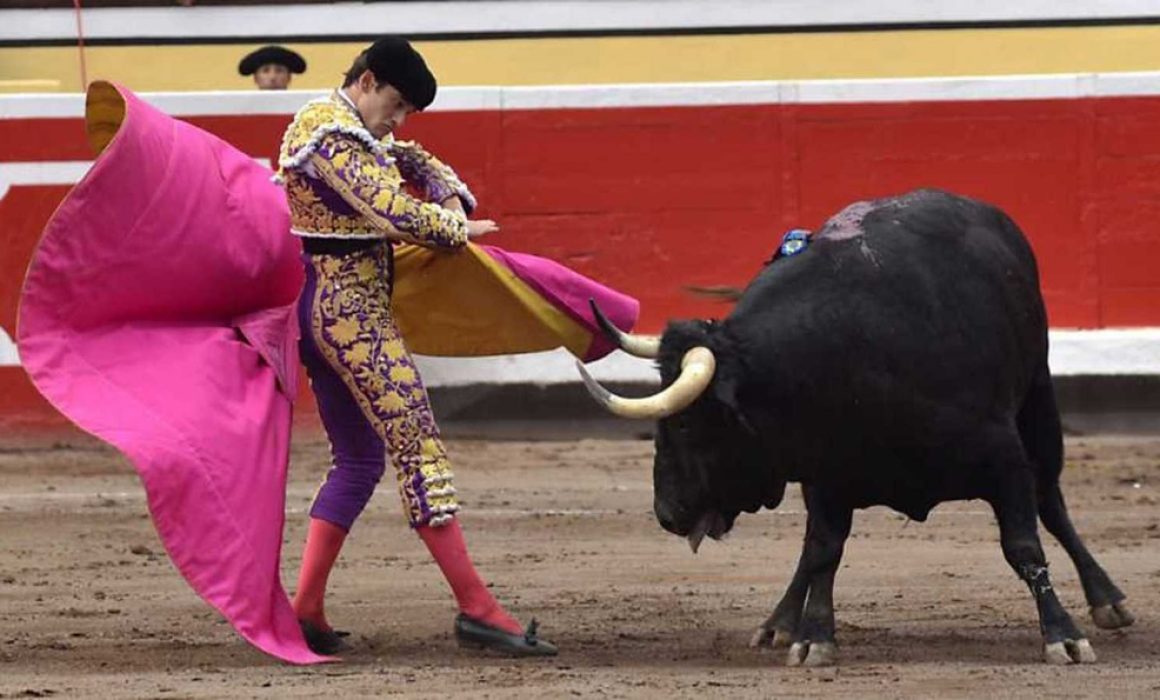 Lee más sobre el artículo Juez ratifica la suspensión de la corrida de toros en Juriquilla