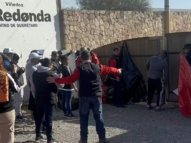 Estalla huelga en Viñedos La Redonda por adeudos salariales