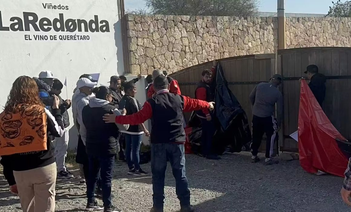 Lee más sobre el artículo Estalla huelga en Viñedos La Redonda por adeudos salariales