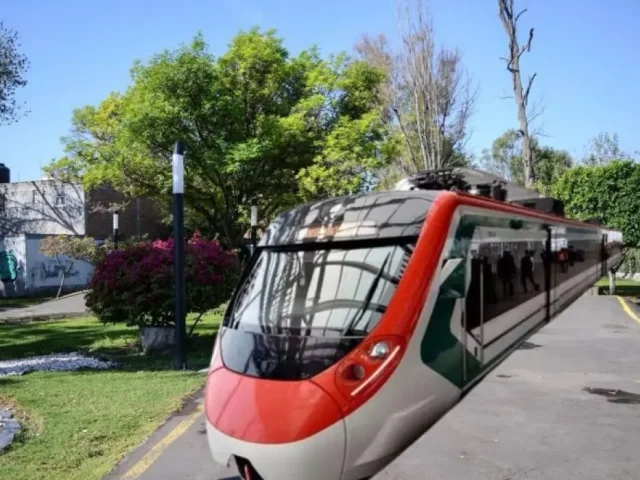 Iniciará consulta para declarar Los Alcanfores área protegida