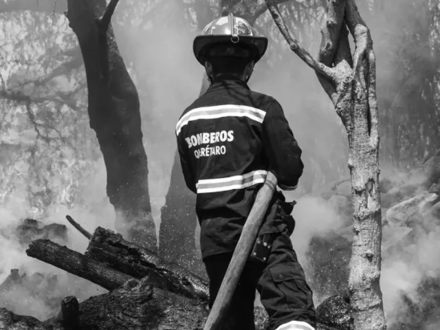 Se espera temporada crítica de incendios en Querétaro