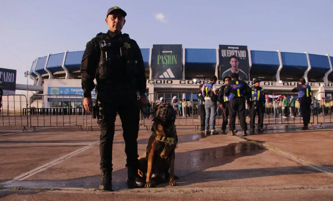 Lee más sobre el artículo Detuvieron a 15 personas durante el partido México contra Islandia