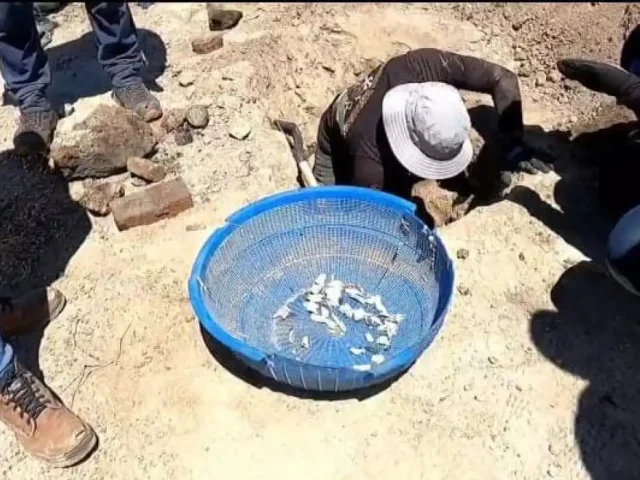 Colectivos exigen respuestas a un año de hallazgos en Rancho Izaguirre