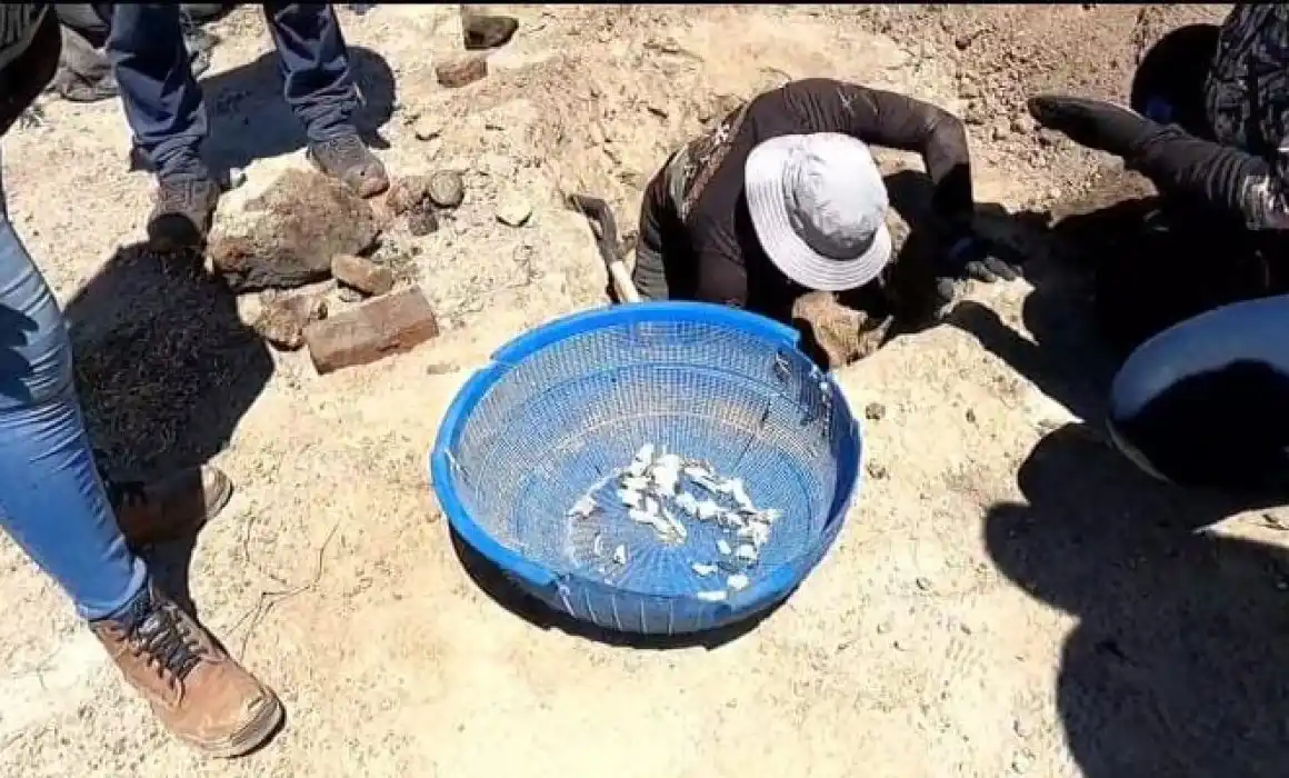 Lee más sobre el artículo Colectivos exigen respuestas a un año de hallazgos en Rancho Izaguirre