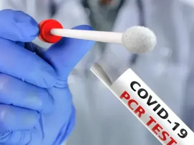 Sin casos activos de Covid 19 en Querétaro