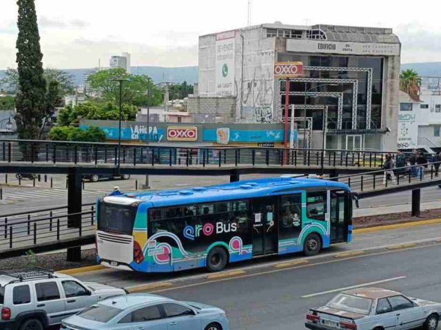 Qrobús crece casi 10% en usuarios durante 2026 según INEGI