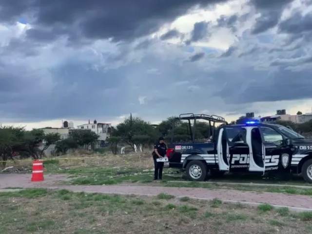 Hallan restos óseos en Real de La Loma