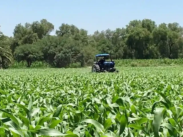 Lista estrategia de apoyo a productores del campo queretano