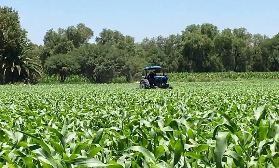 Lee más sobre el artículo Lista estrategia de apoyo a productores del campo queretano