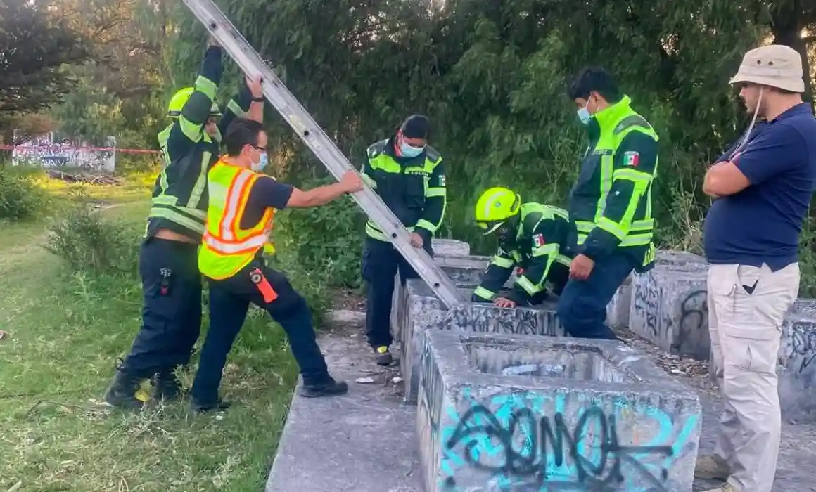 Lee más sobre el artículo Localizan restos óseos en San Juan del Río