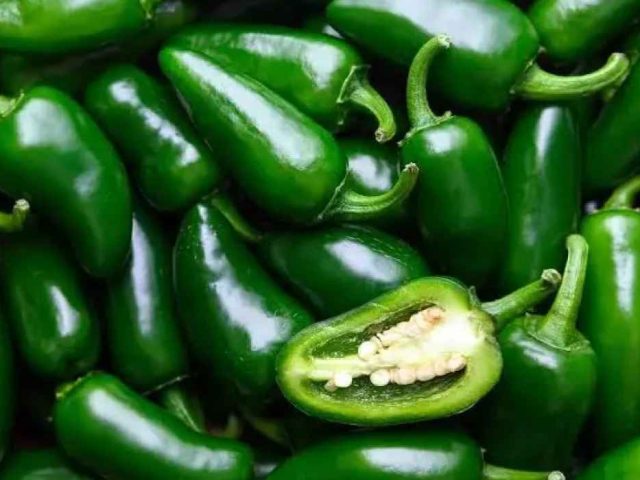 Investigan planta de chiles jalapeños en NL por brote de salmonelosis