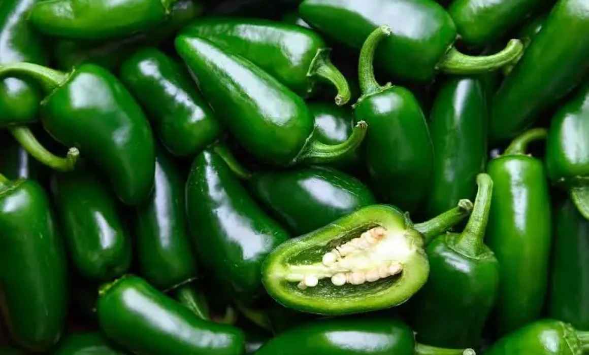 Lee más sobre el artículo Investigan planta de chiles jalapeños en NL por brote de salmonelosis