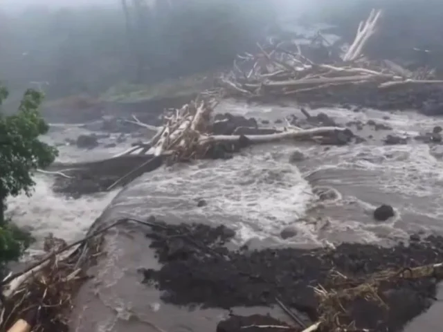 Deja tormenta Lala graves daños e inundaciones en Hawái