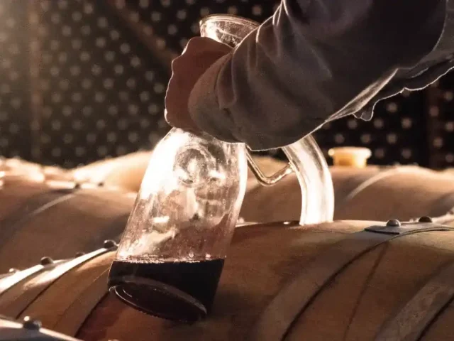 Crece 3.85% anual la producción de uva para vino en México: Agricultura