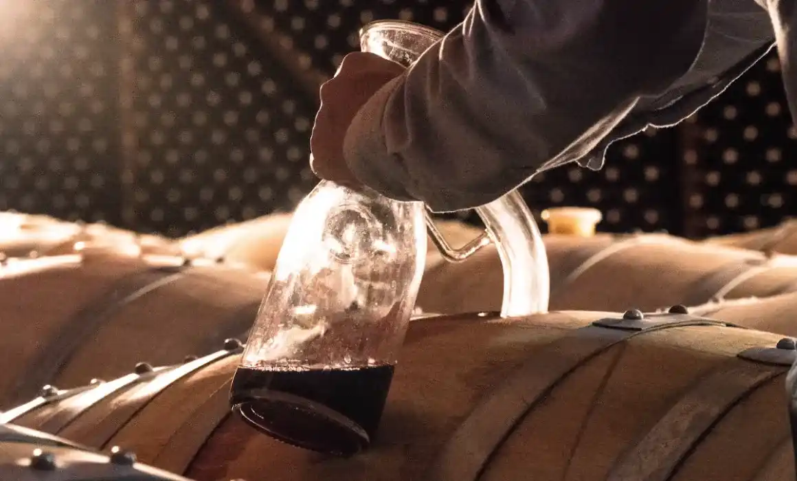 Lee más sobre el artículo Crece 3.85% anual la producción de uva para vino en México: Agricultura