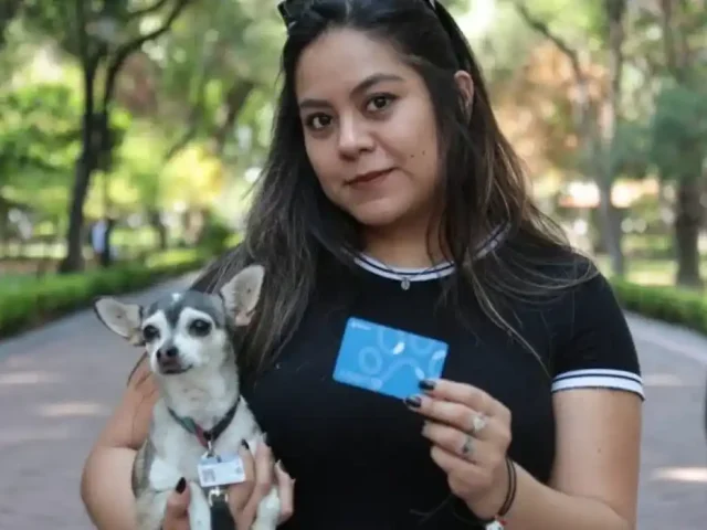 Organizan jornada para facilitar viajes con mascotas en Qrobus