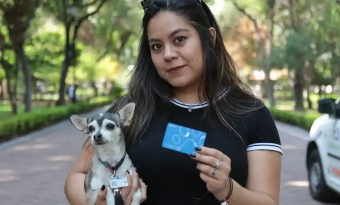 Lee más sobre el artículo Organizan jornada para facilitar viajes con mascotas en Qrobus